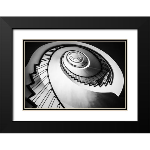 Parrot Staircase Black Modern Wood Framed Art Print with Double Matting by Ronin