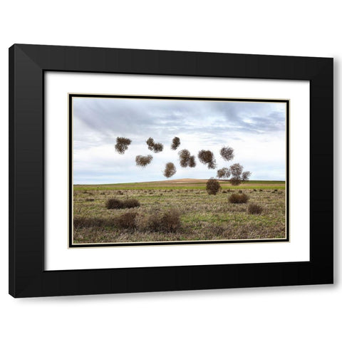 Pause Número II Black Modern Wood Framed Art Print with Double Matting by Vallinas Prieto, Miguel