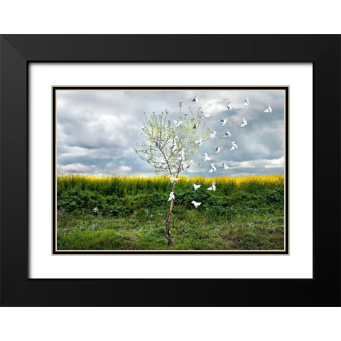 Pause Número VII Black Modern Wood Framed Art Print with Double Matting by Vallinas Prieto, Miguel