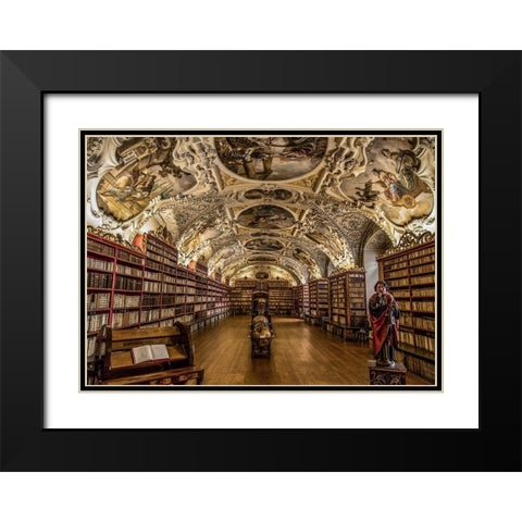 Beautiful old Library Black Modern Wood Framed Art Print with Double Matting by Ronin
