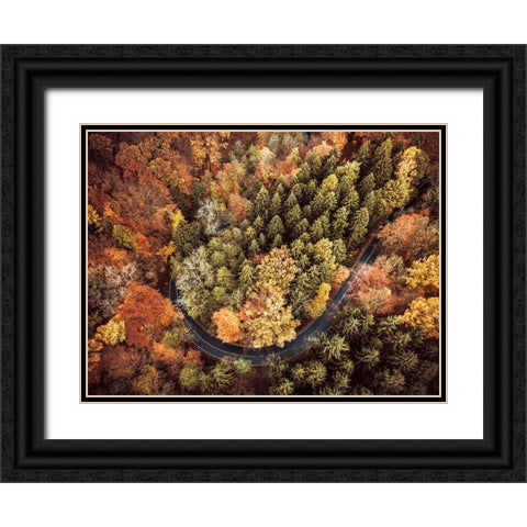 Aerial 15 Black Ornate Wood Framed Art Print with Double Matting by Lee, Rachel