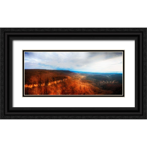 Aerial 3 Black Ornate Wood Framed Art Print with Double Matting by Lee, Rachel