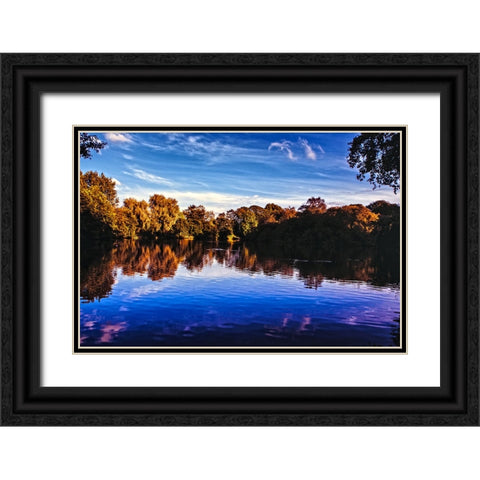 Afternoon Pond Black Ornate Wood Framed Art Print with Double Matting by Lee, Rachel