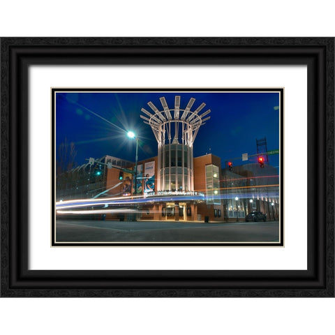 Aquarium Blur Black Ornate Wood Framed Art Print with Double Matting by Lee, Rachel