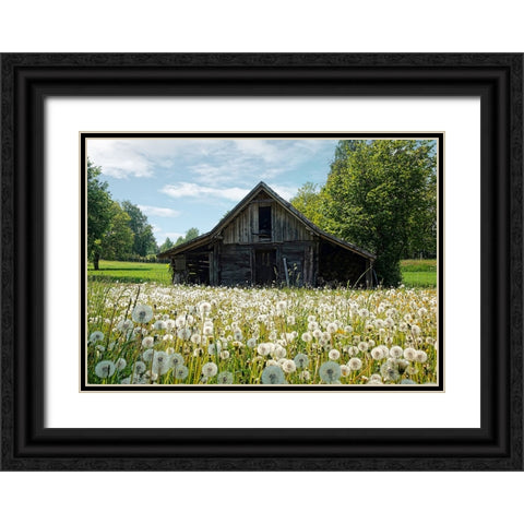 Barn 4 Black Ornate Wood Framed Art Print with Double Matting by Lee, Rachel