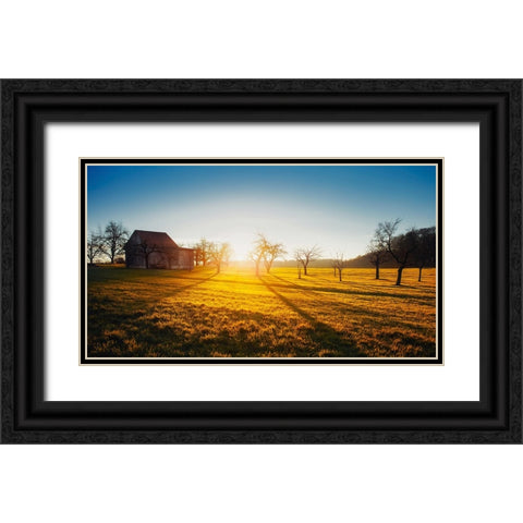 Barn 5 Black Ornate Wood Framed Art Print with Double Matting by Lee, Rachel