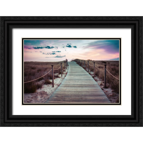 Beach 1 Black Ornate Wood Framed Art Print with Double Matting by Lee, Rachel