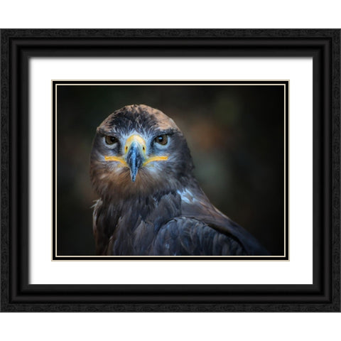 Bird 20 Black Ornate Wood Framed Art Print with Double Matting by Lee, Rachel
