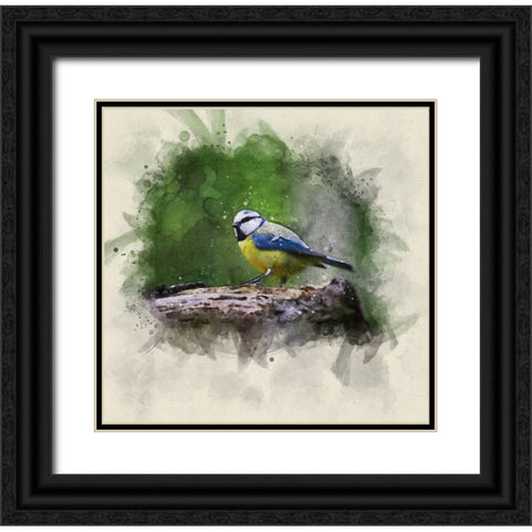 Bird 22 Watercolor Black Ornate Wood Framed Art Print with Double Matting by Lee, Rachel