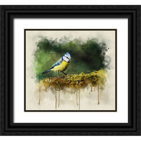 Bird 3 Watercolor Black Ornate Wood Framed Art Print with Double Matting by Lee, Rachel