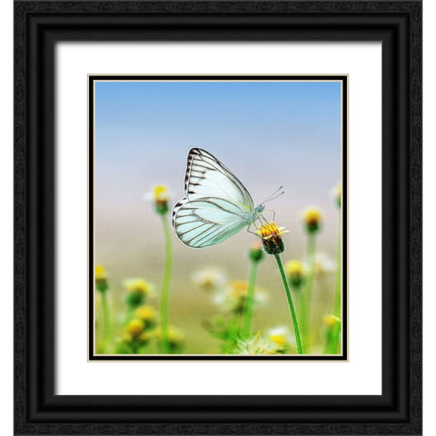 Butterfly 10 Dyptych Panel 1 Black Ornate Wood Framed Art Print with Double Matting by Lee, Rachel