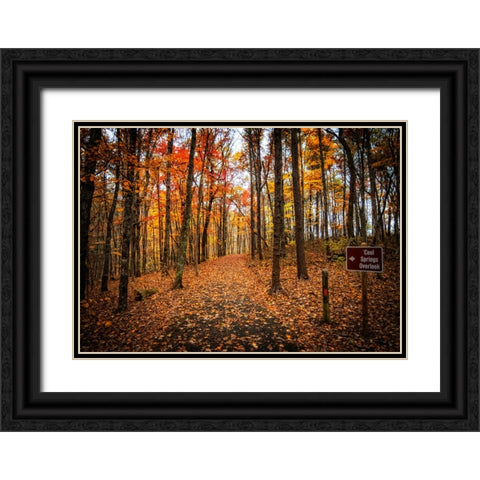 Cool Springs Overlook Black Ornate Wood Framed Art Print with Double Matting by Lee, Rachel