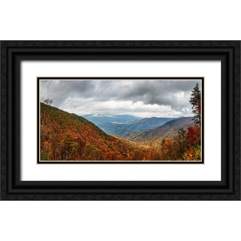 Cool Springs Overlook 2 Black Ornate Wood Framed Art Print with Double Matting by Lee, Rachel