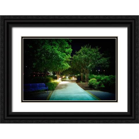 Coolidge Night Path Black Ornate Wood Framed Art Print with Double Matting by Lee, Rachel