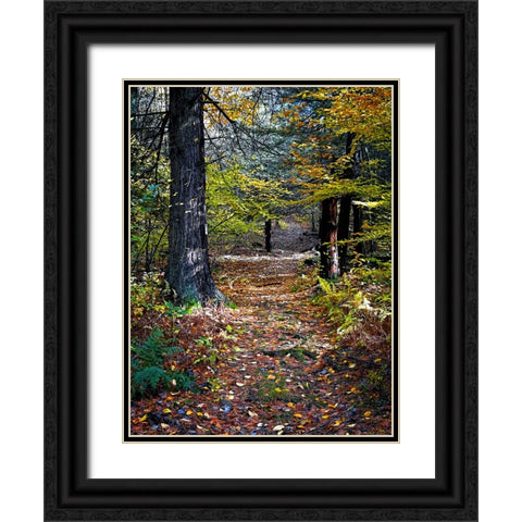 Country Road 19 Black Ornate Wood Framed Art Print with Double Matting by Lee, Rachel