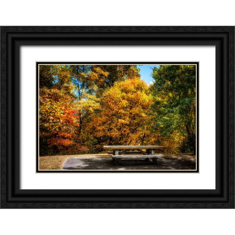 Fall Picnic Black Ornate Wood Framed Art Print with Double Matting by Lee, Rachel