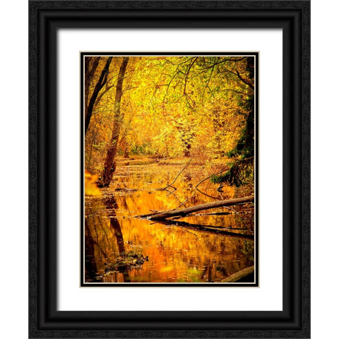 Fall Stream Black Ornate Wood Framed Art Print with Double Matting by Lee, Rachel