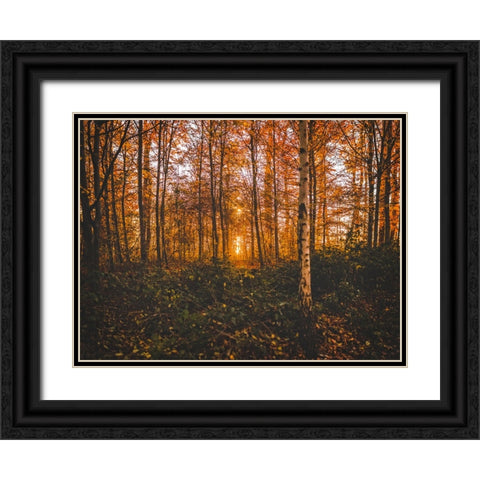 Fall Trees 12 Black Ornate Wood Framed Art Print with Double Matting by Lee, Rachel