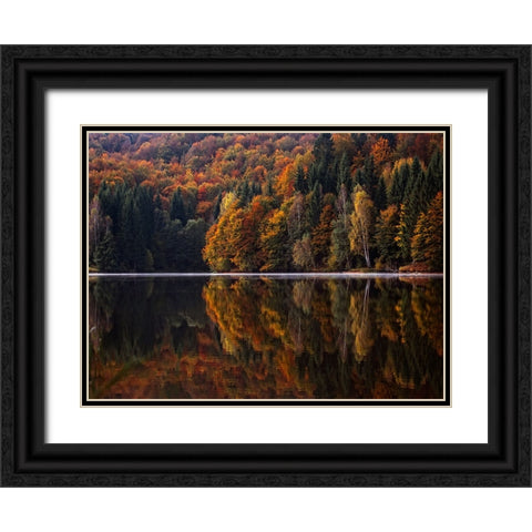 Fall Trees 13 Black Ornate Wood Framed Art Print with Double Matting by Lee, Rachel