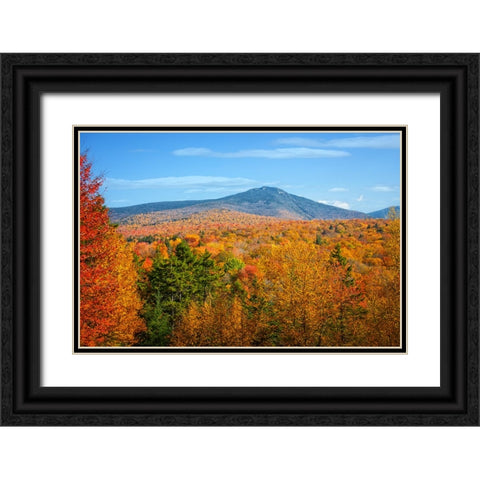 Fall Trees 6 Black Ornate Wood Framed Art Print with Double Matting by Lee, Rachel