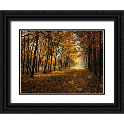 Fall Trees 9 Black Ornate Wood Framed Art Print with Double Matting by Lee, Rachel