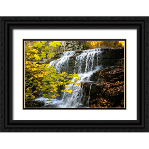 Fall Waterfall Black Ornate Wood Framed Art Print with Double Matting by Lee, Rachel