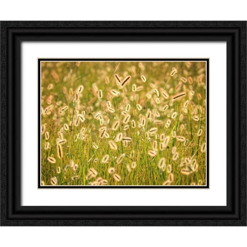 Field 17 Black Ornate Wood Framed Art Print with Double Matting by Lee, Rachel