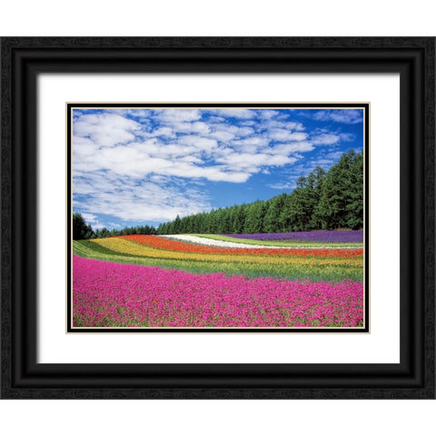 Field 19 Black Ornate Wood Framed Art Print with Double Matting by Lee, Rachel