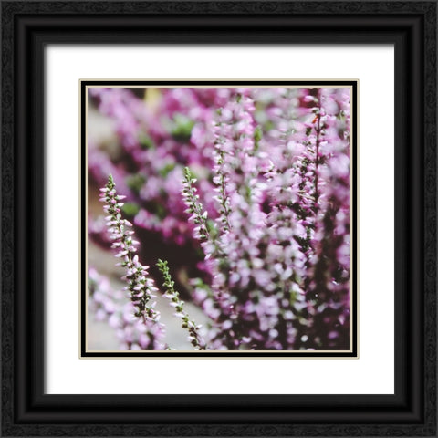 Flower 20 Black Ornate Wood Framed Art Print with Double Matting by Lee, Rachel