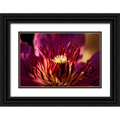 Flower 34 Black Ornate Wood Framed Art Print with Double Matting by Lee, Rachel