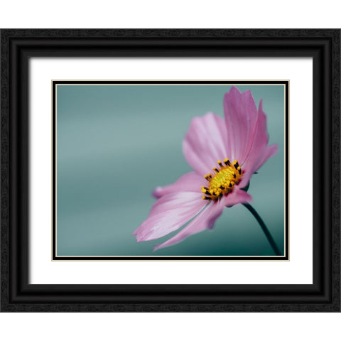 Flower 36 Black Ornate Wood Framed Art Print with Double Matting by Lee, Rachel