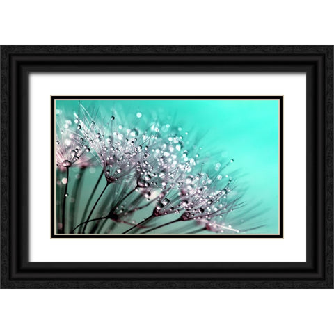 Flower 55 Black Ornate Wood Framed Art Print with Double Matting by Lee, Rachel