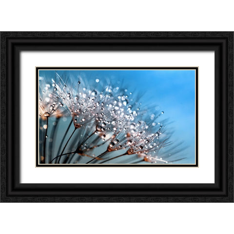 Flower 55 Custom Blue Black Ornate Wood Framed Art Print with Double Matting by Lee, Rachel