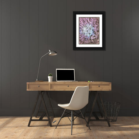 Flower 58 Black Ornate Wood Framed Art Print with Double Matting by Lee, Rachel