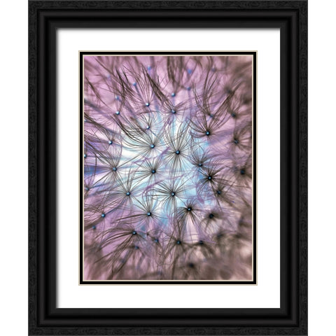 Flower 58 Black Ornate Wood Framed Art Print with Double Matting by Lee, Rachel