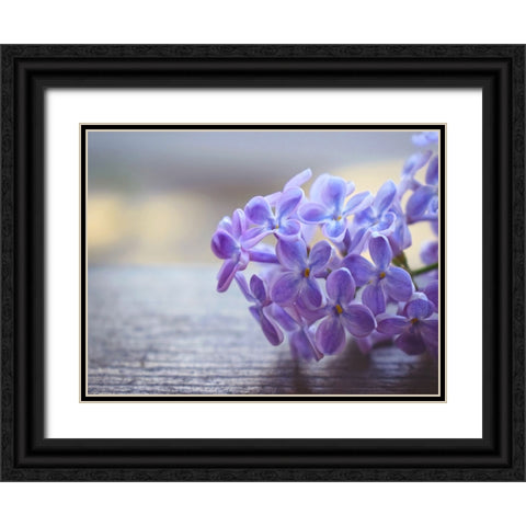 Flower 63 Black Ornate Wood Framed Art Print with Double Matting by Lee, Rachel