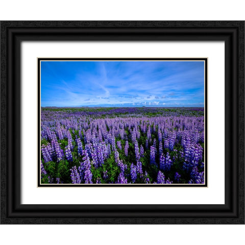 Flower 64 Black Ornate Wood Framed Art Print with Double Matting by Lee, Rachel