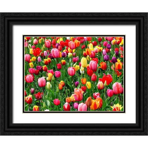 Flower 73 Black Ornate Wood Framed Art Print with Double Matting by Lee, Rachel