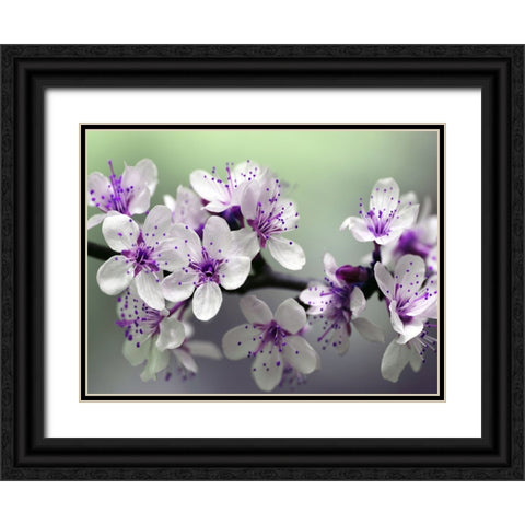 Flower 79 Black Ornate Wood Framed Art Print with Double Matting by Lee, Rachel