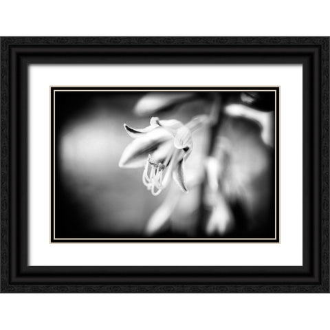 Flower Purple BW Holga Black Ornate Wood Framed Art Print with Double Matting by Lee, Rachel
