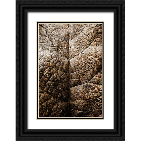 Foliage Textured 1 Black Ornate Wood Framed Art Print with Double Matting by Lee, Rachel