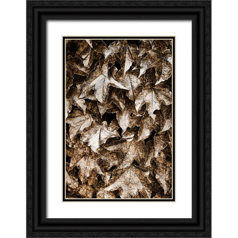 Foliage Textured 6 Black Ornate Wood Framed Art Print with Double Matting by Lee, Rachel