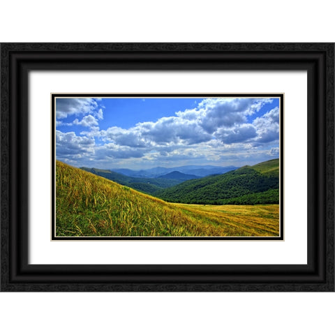Mountain View 10 Black Ornate Wood Framed Art Print with Double Matting by Lee, Rachel