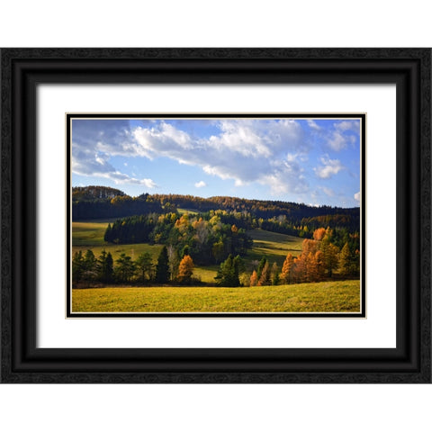 Mountain View 13 Black Ornate Wood Framed Art Print with Double Matting by Lee, Rachel