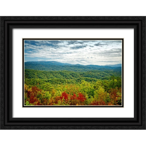 Mountain View 23 Black Ornate Wood Framed Art Print with Double Matting by Lee, Rachel