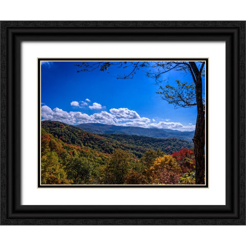 NC Fall Mountains 1 Black Ornate Wood Framed Art Print with Double Matting by Lee, Rachel