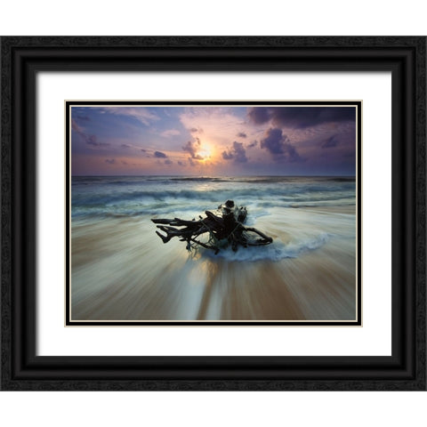 Ocean 28 Black Ornate Wood Framed Art Print with Double Matting by Lee, Rachel