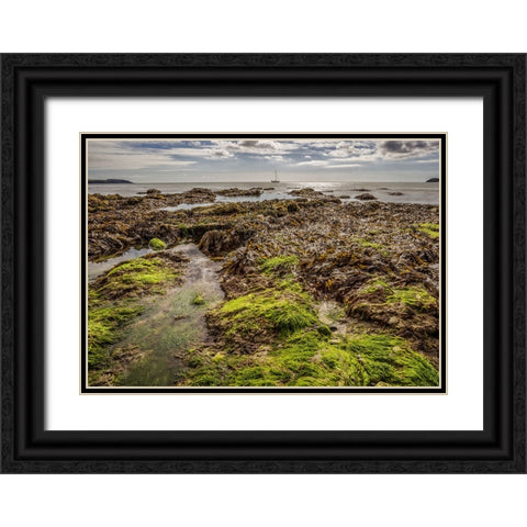 Ocean 54 Black Ornate Wood Framed Art Print with Double Matting by Lee, Rachel