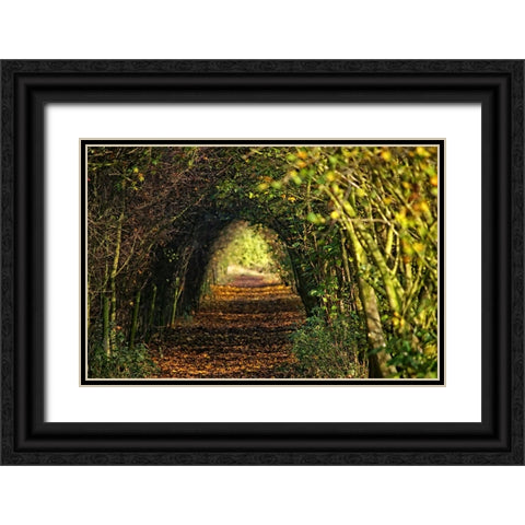 Pathway Black Ornate Wood Framed Art Print with Double Matting by Lee, Rachel