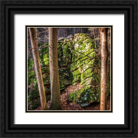 Rocks 4 Black Ornate Wood Framed Art Print with Double Matting by Lee, Rachel
